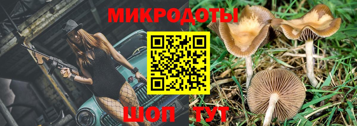Сафоново  магазин продажи   Вход с VPN  Галлюциногенные грибы Psilocybine cubensis 
